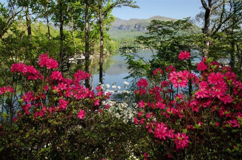 Lodge On Лейк-Луре Екстер'єр фото